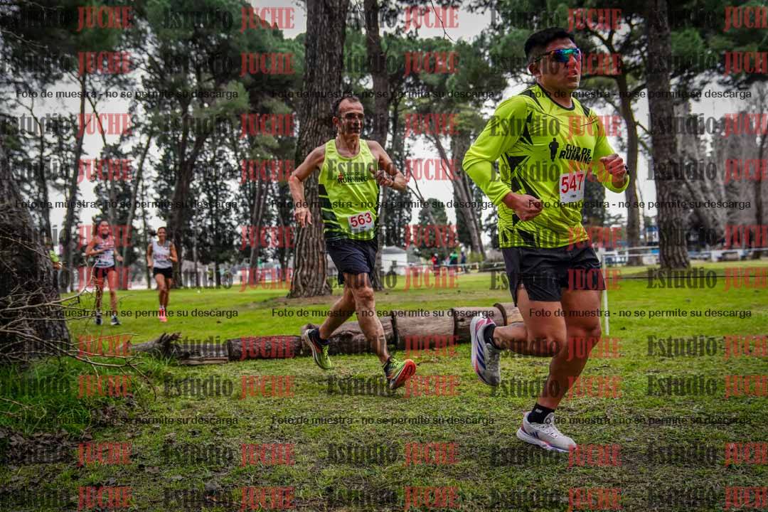Fotos en el circuito