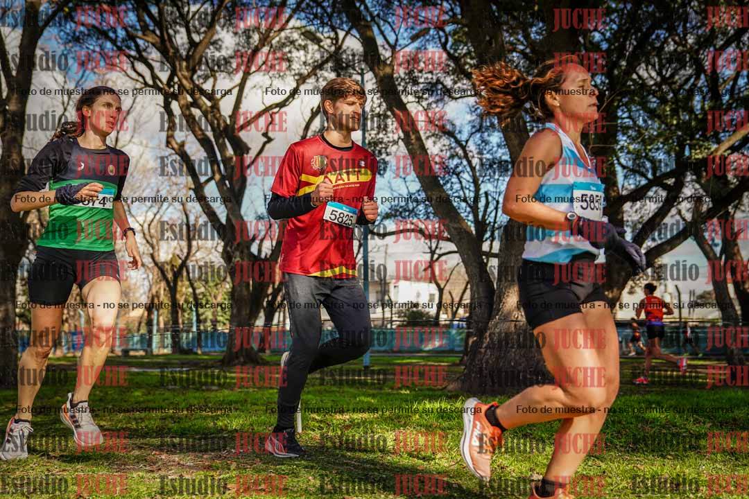 Fotos en el circuito