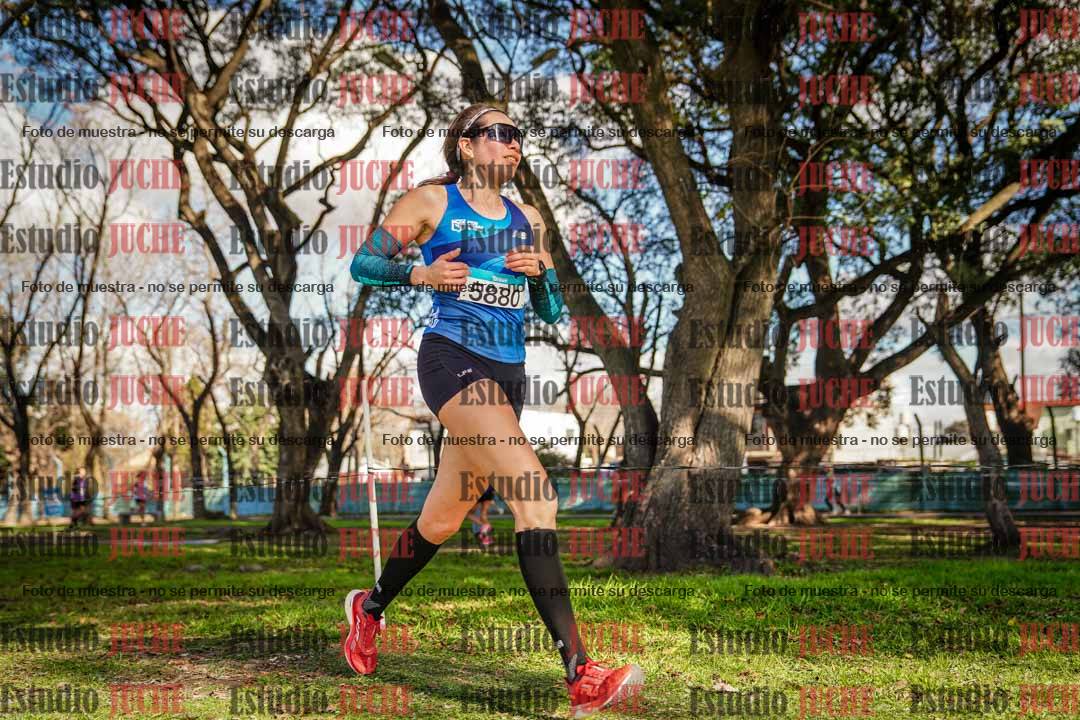 Fotos en el circuito