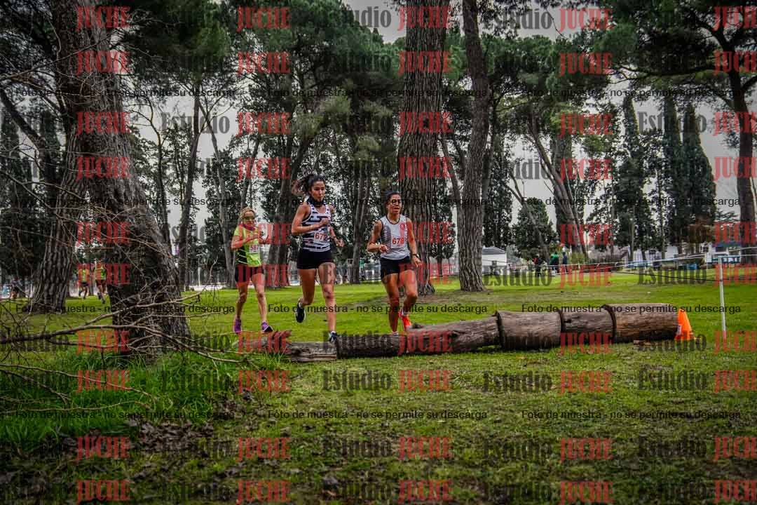 Fotos en el circuito