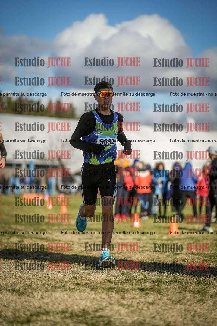 Fotos de las llegadas