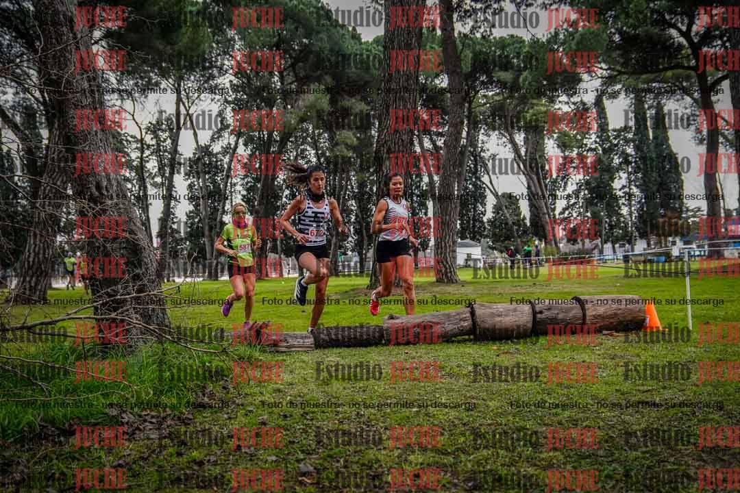Fotos en el circuito