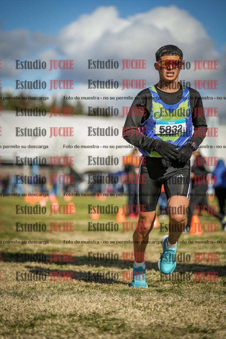 Fotos de las llegadas
