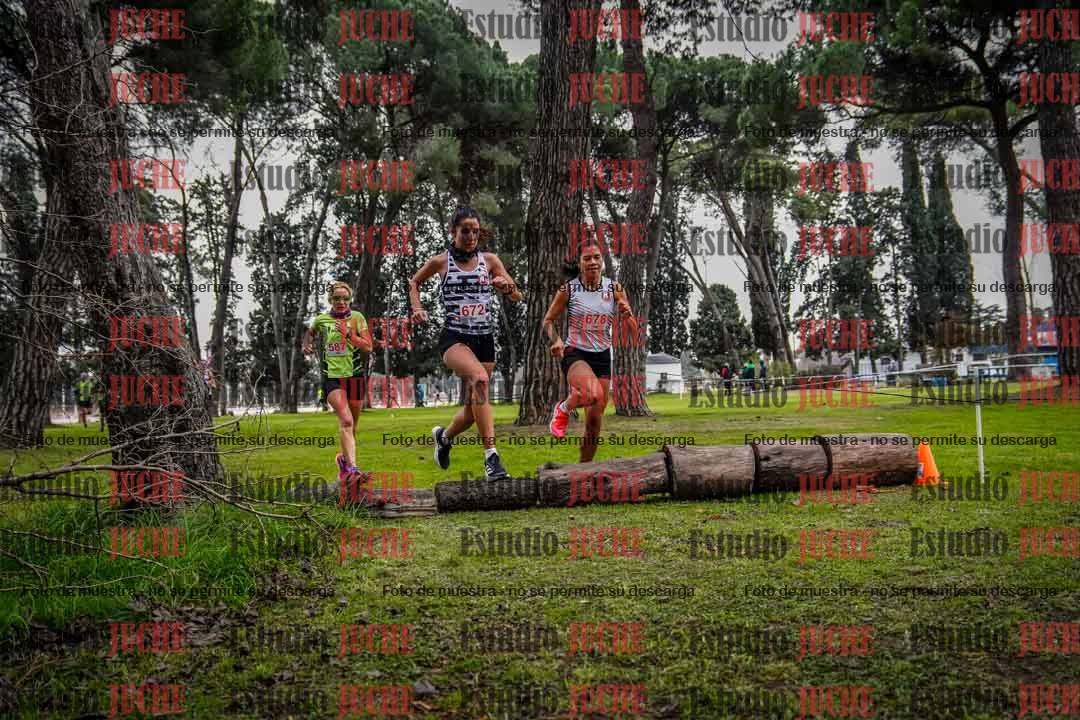 Fotos en el circuito
