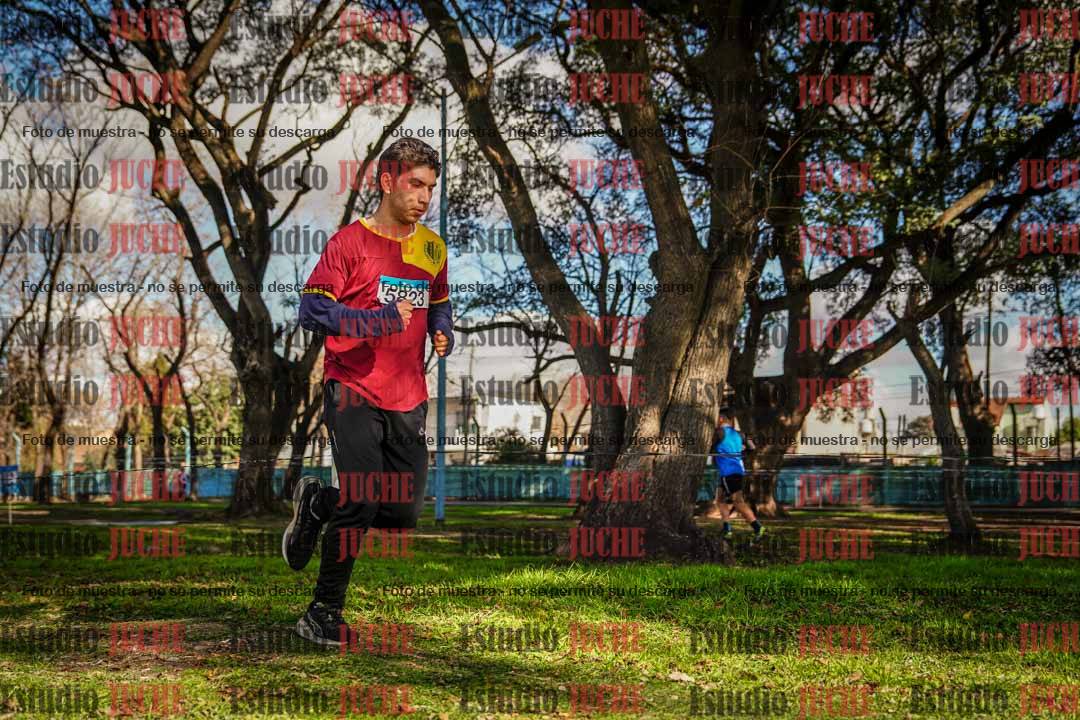 Fotos en el circuito