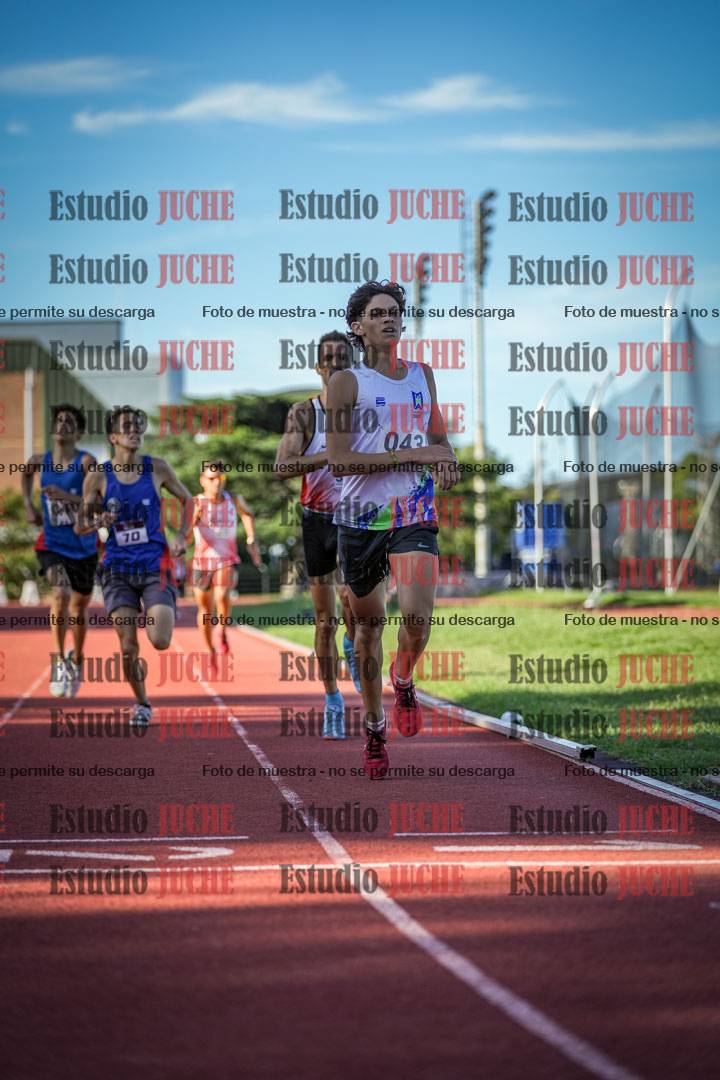 Fotos de los 1500 m llanos de varones