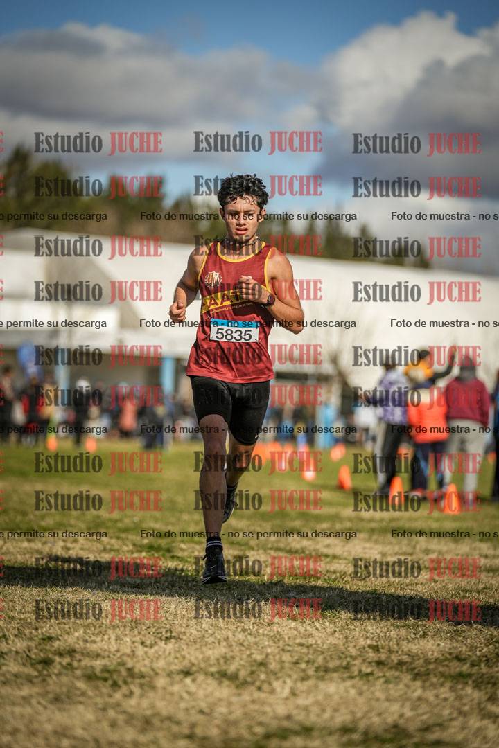 Fotos de las llegadas