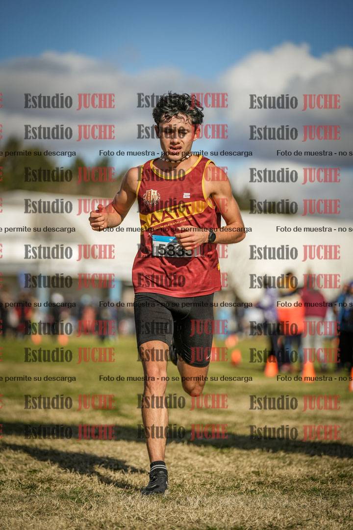 Fotos de las llegadas