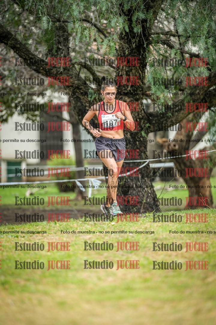 Fotos en el circuito