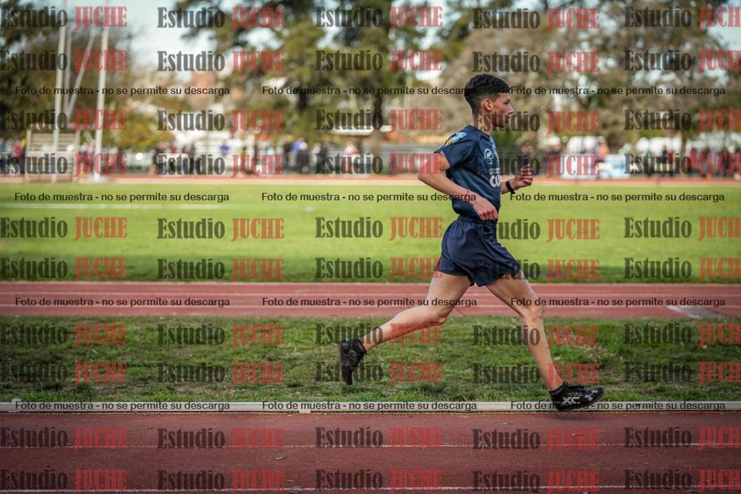 Fotos de los 3000 m llanos de varones
