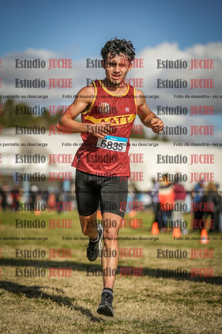 Fotos de las llegadas