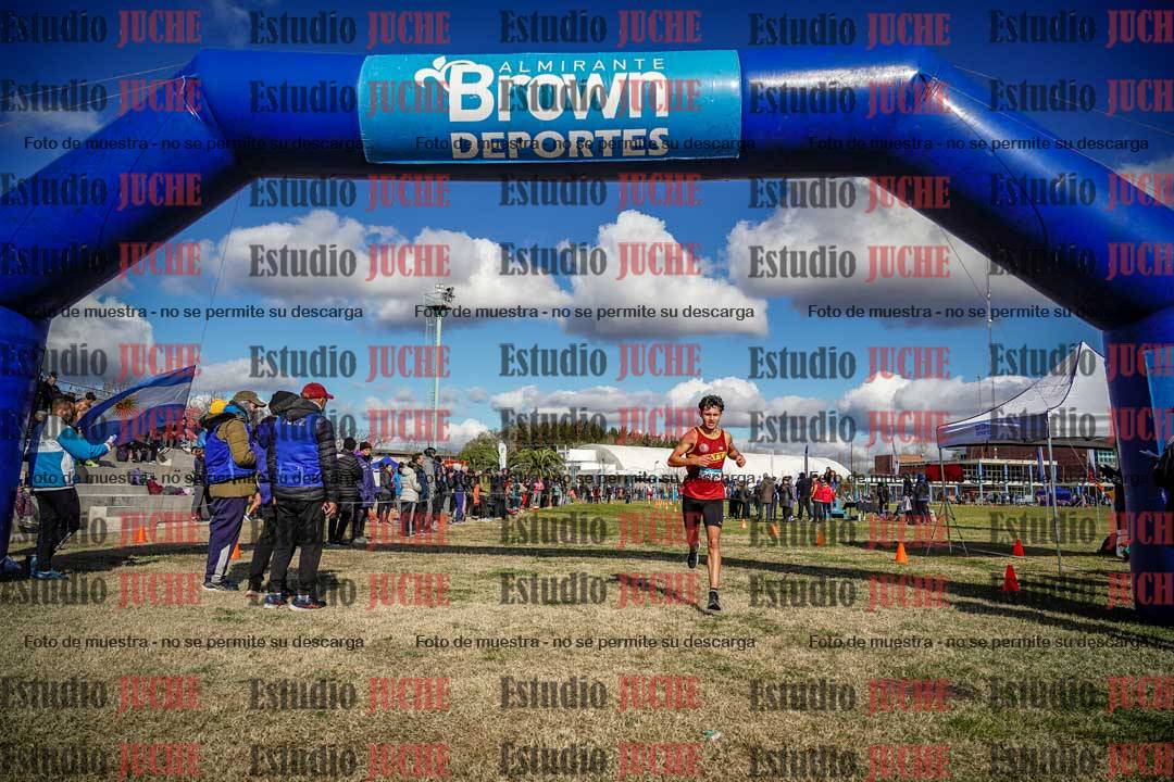 Fotos de las llegadas