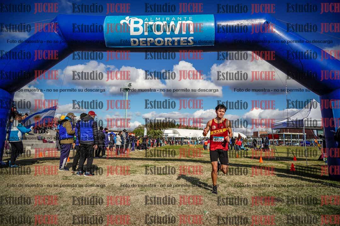 Fotos de las llegadas