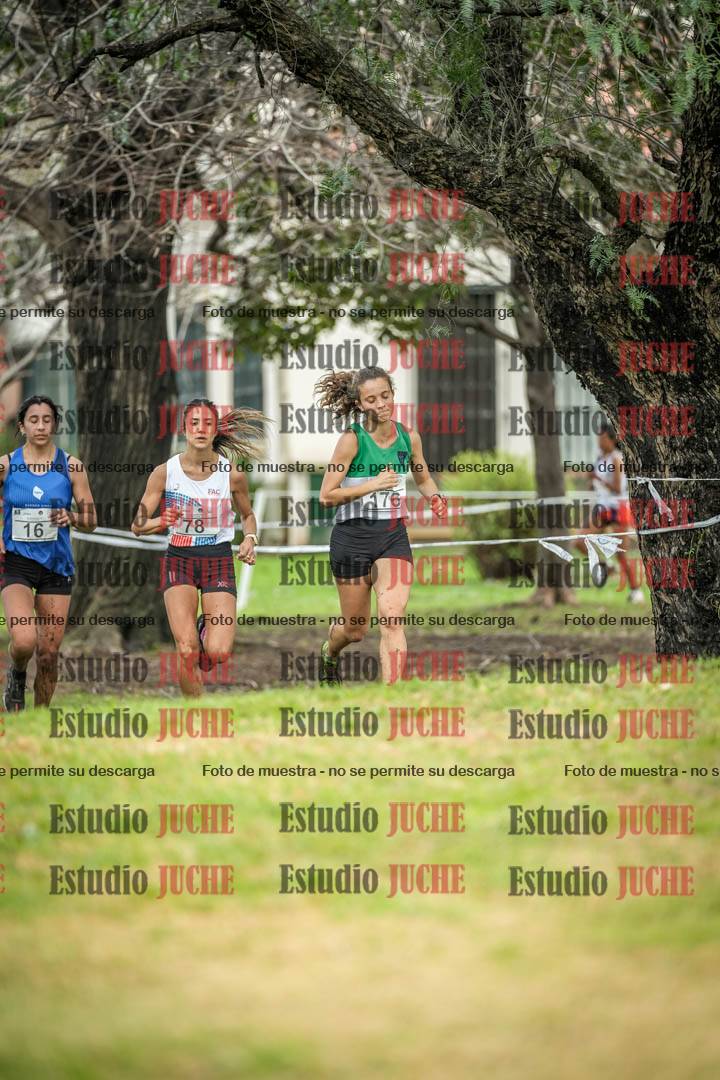 Fotos en el circuito
