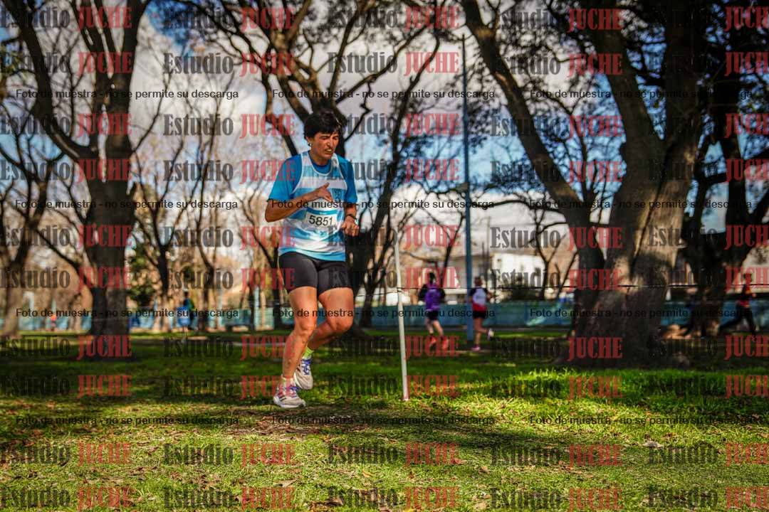 Fotos en el circuito