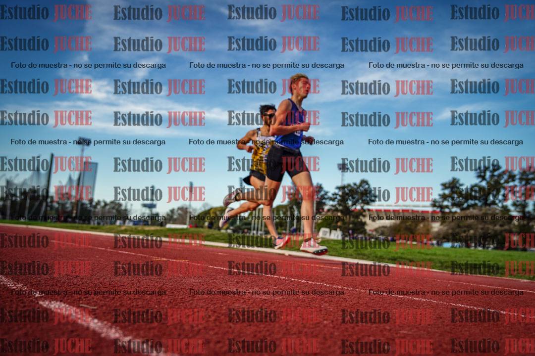 Fotos de los 3000 m llanos de varones