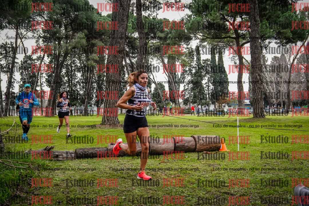Fotos en el circuito