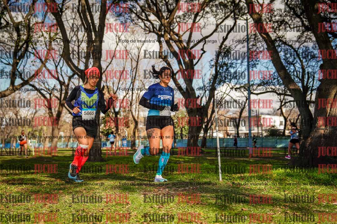 Fotos en el circuito