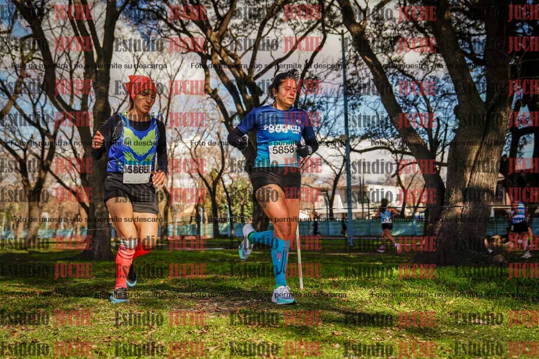 Fotos en el circuito
