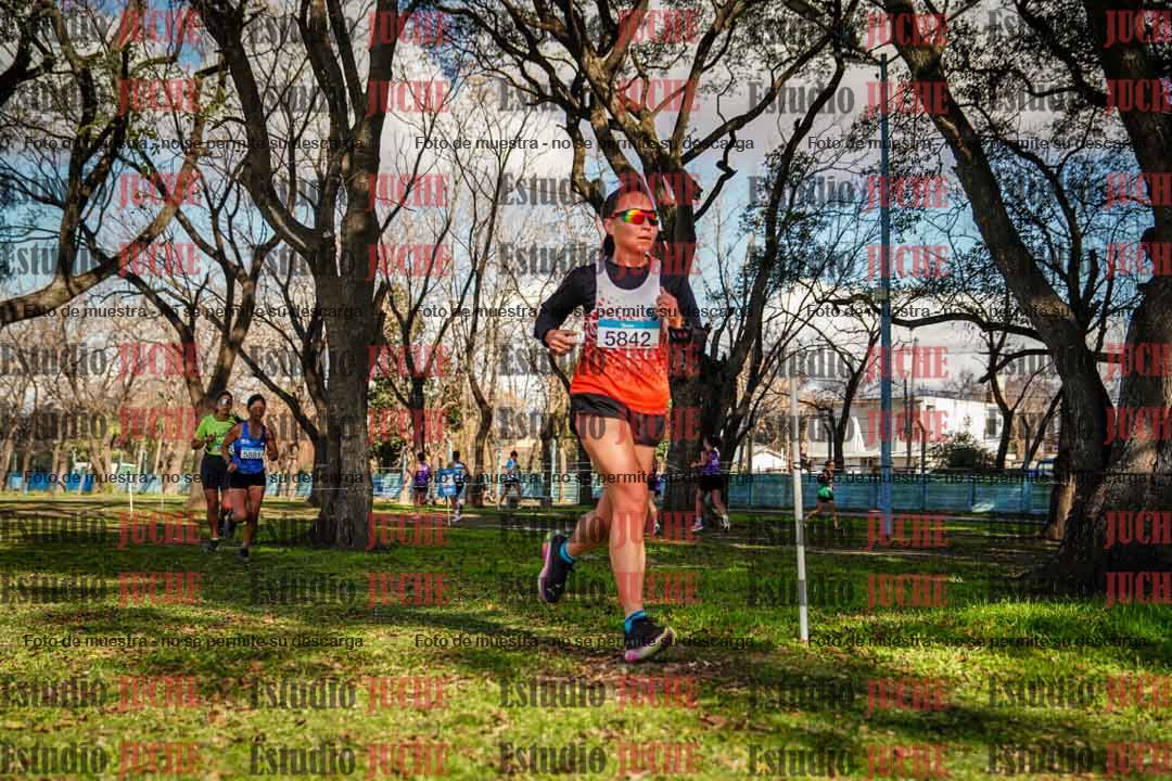 Fotos en el circuito