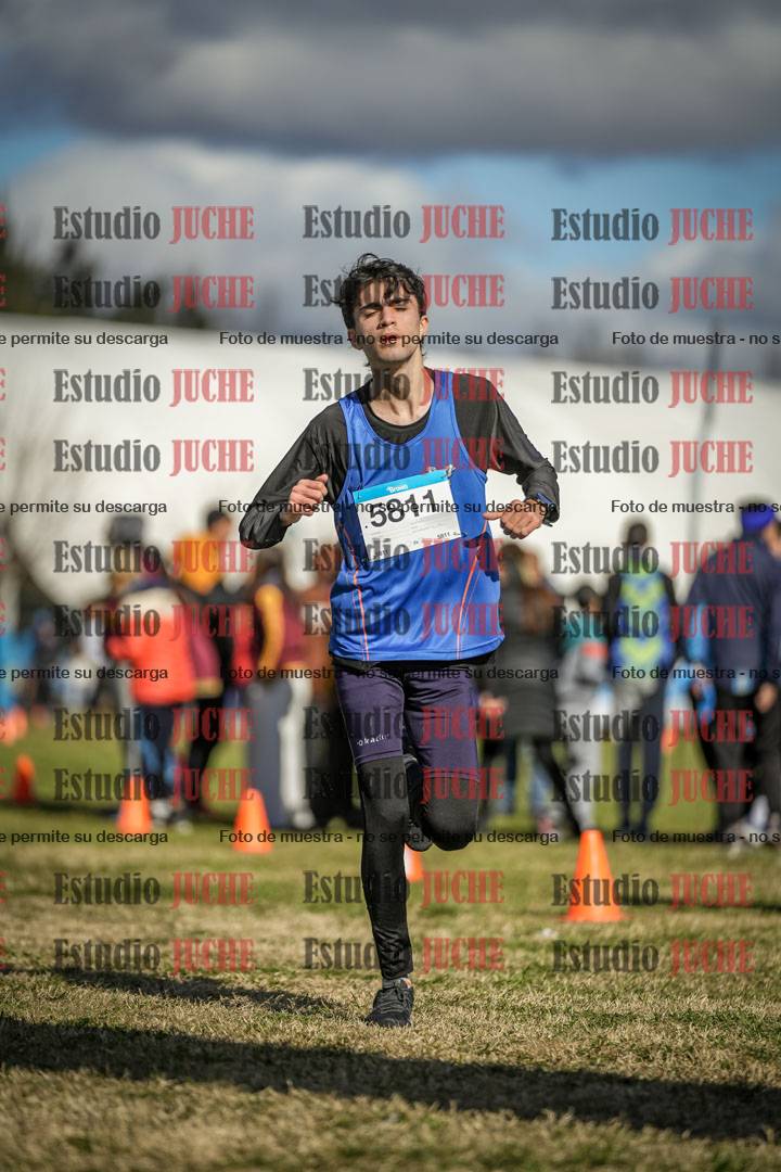 Fotos de las llegadas