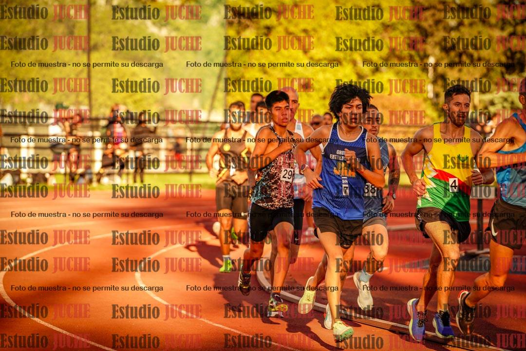 Fotos de los 3000 m llanos de varones