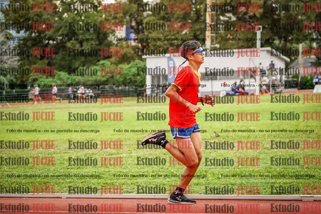 Fotos de los 3000 m llanos de varones