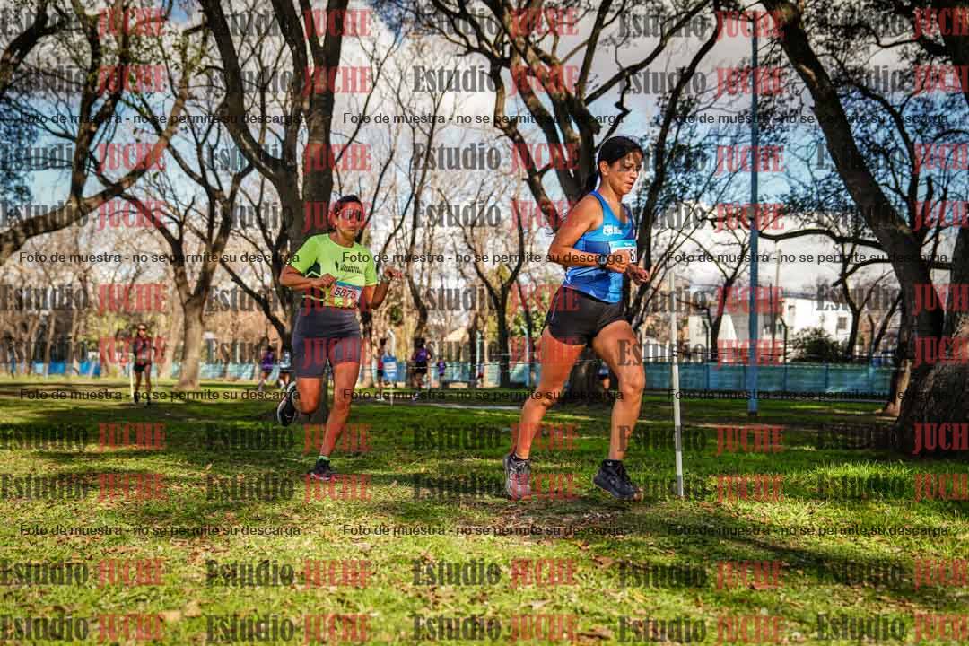 Fotos en el circuito