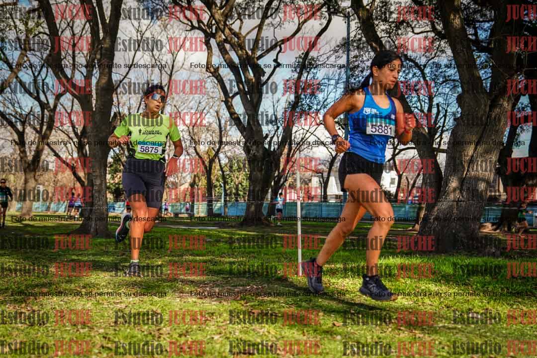 Fotos en el circuito