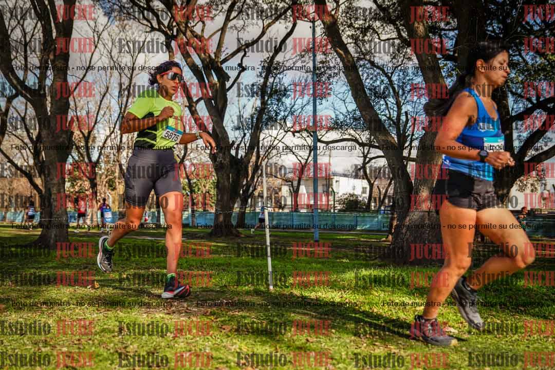 Fotos en el circuito