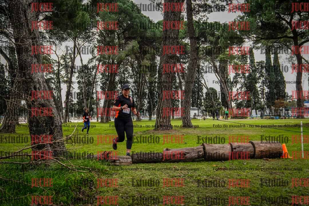 Fotos en el circuito