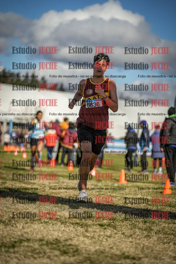 Fotos de las llegadas