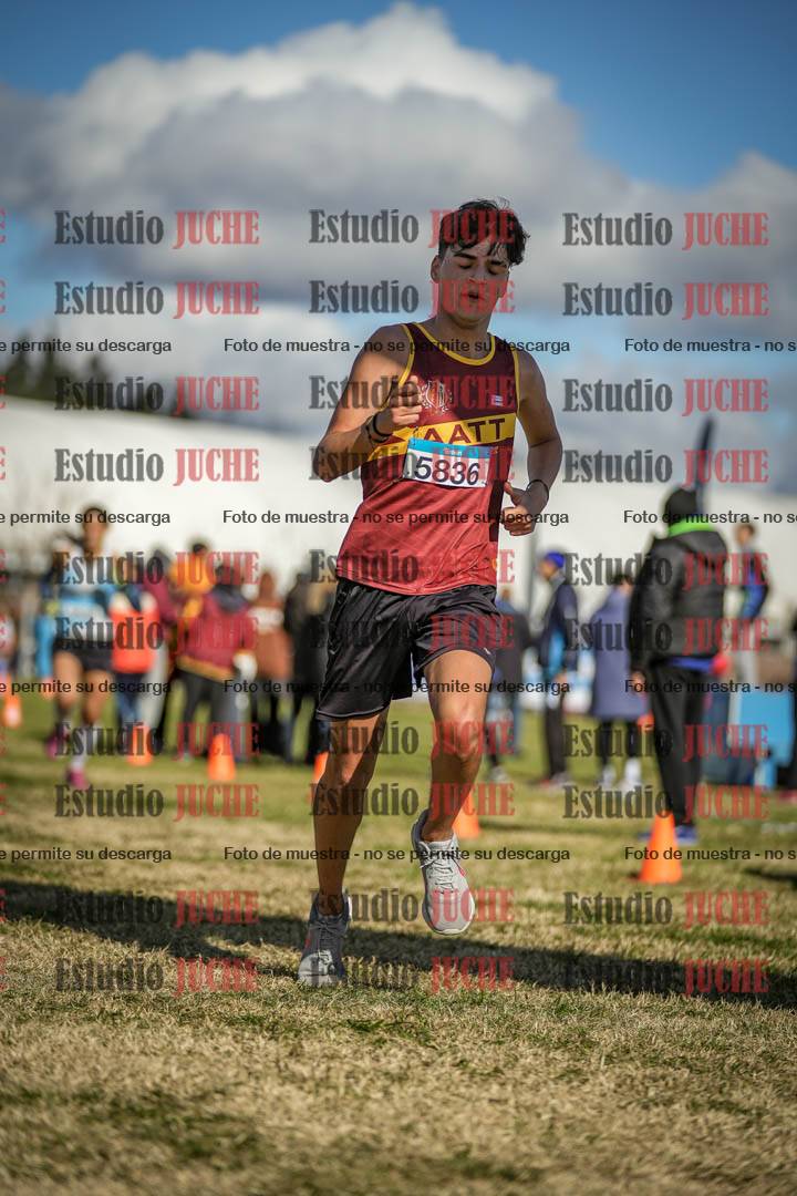 Fotos de las llegadas