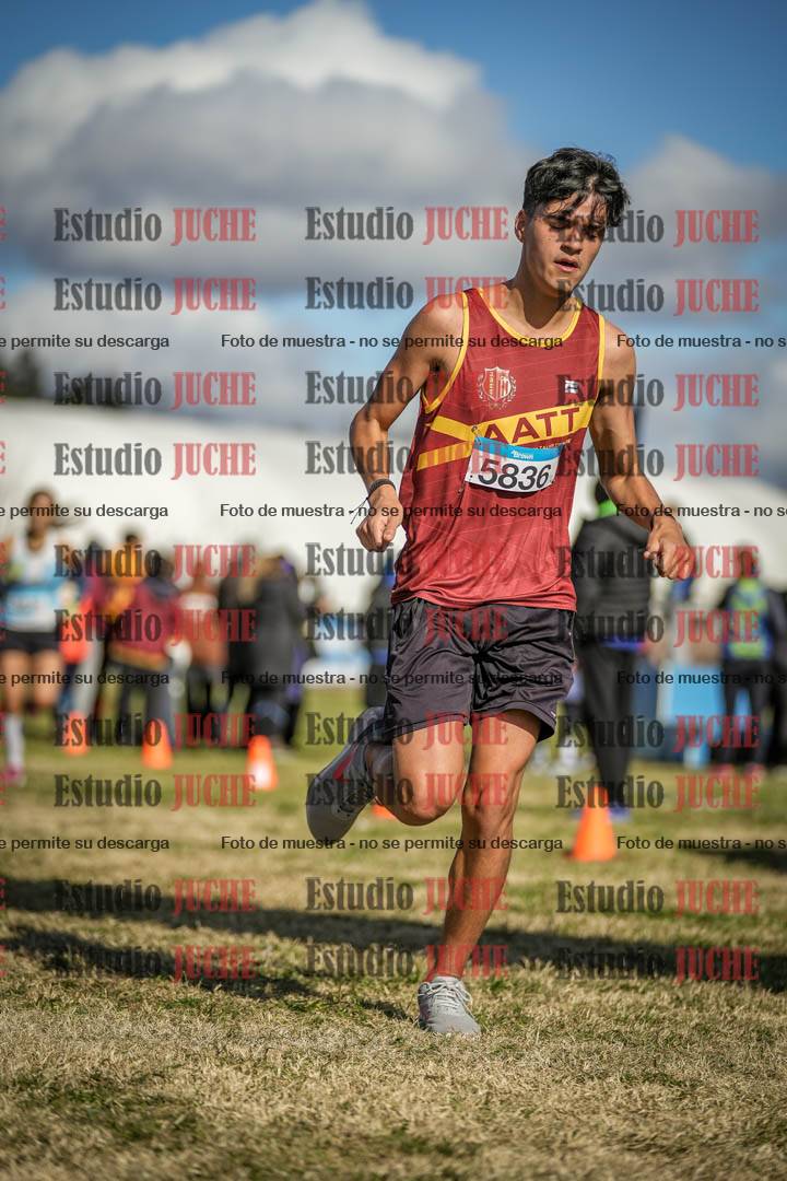 Fotos de las llegadas