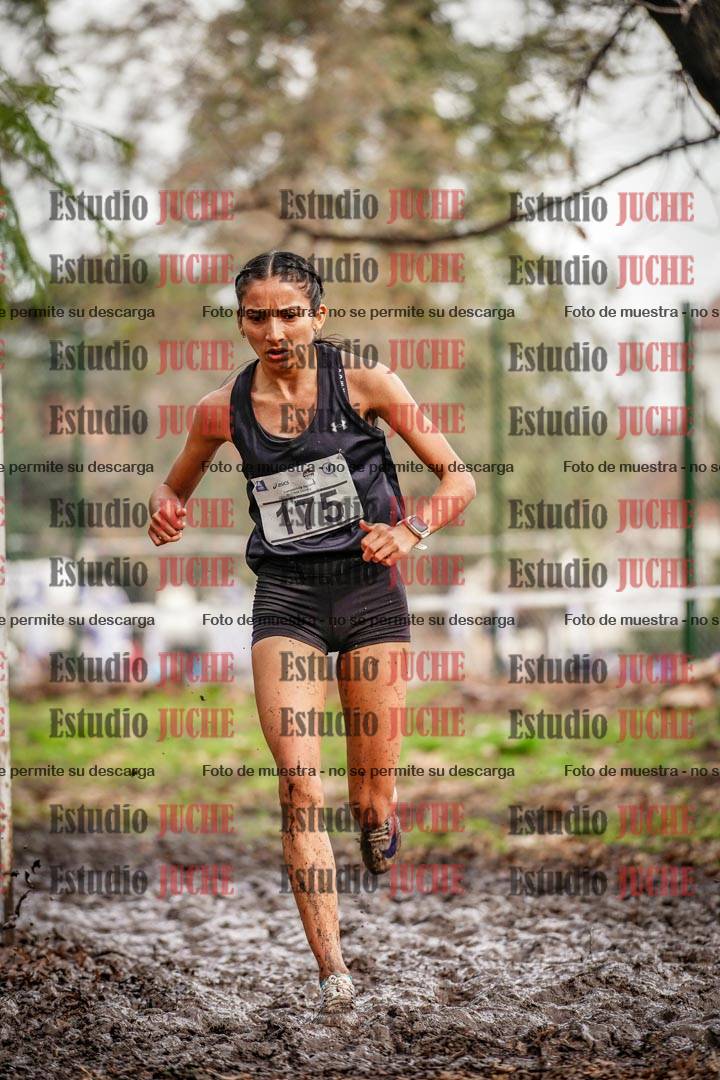 Fotos en el circuito