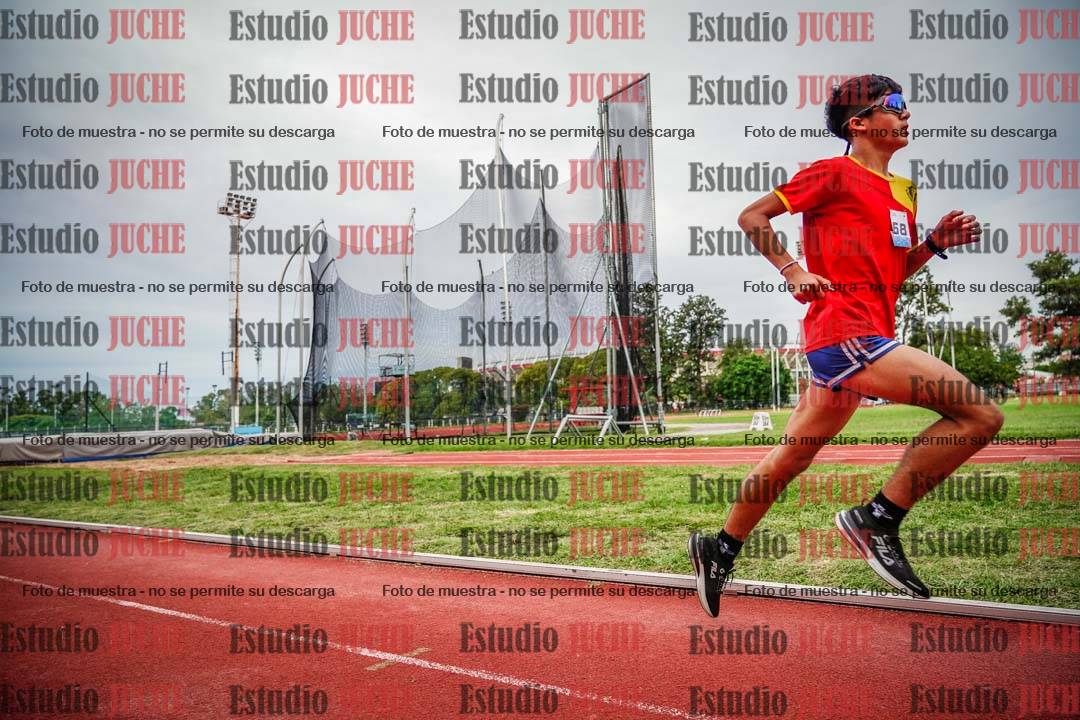 Fotos de los 3000 m llanos de varones
