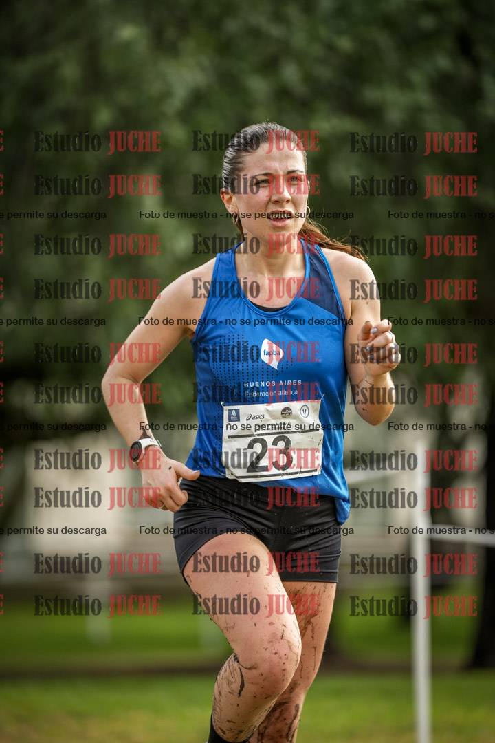Fotos en el circuito