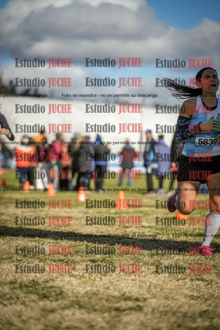 Fotos de las llegadas