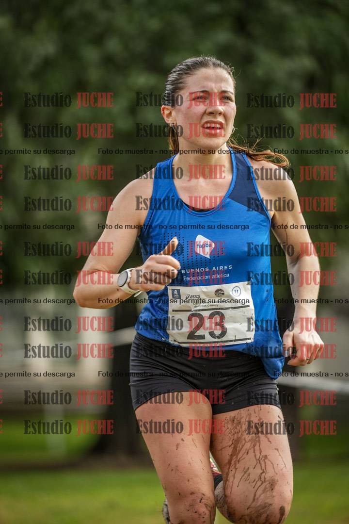 Fotos en el circuito