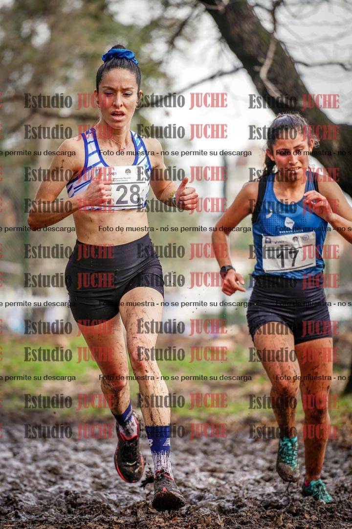 Fotos en el circuito