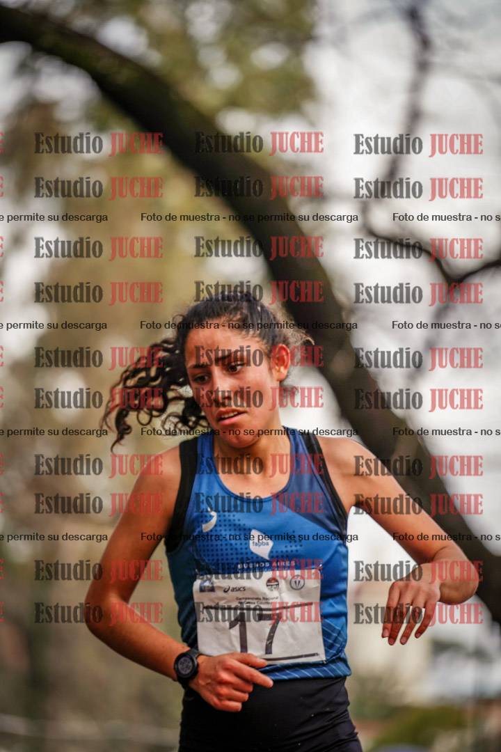 Fotos en el circuito
