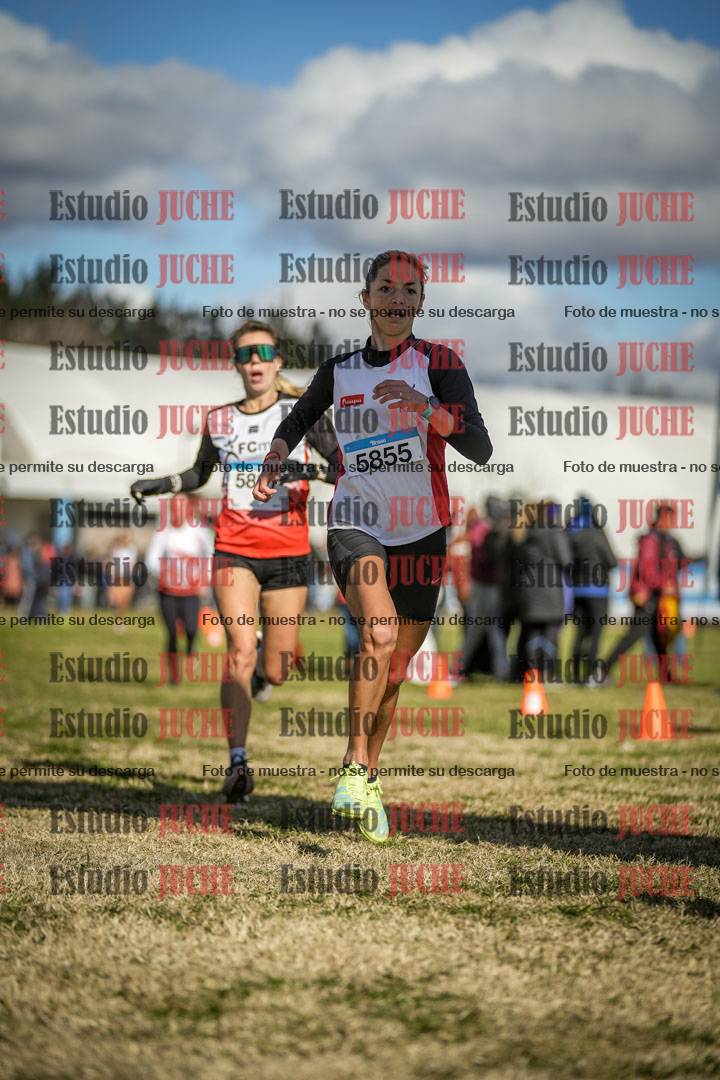 Fotos de las llegadas
