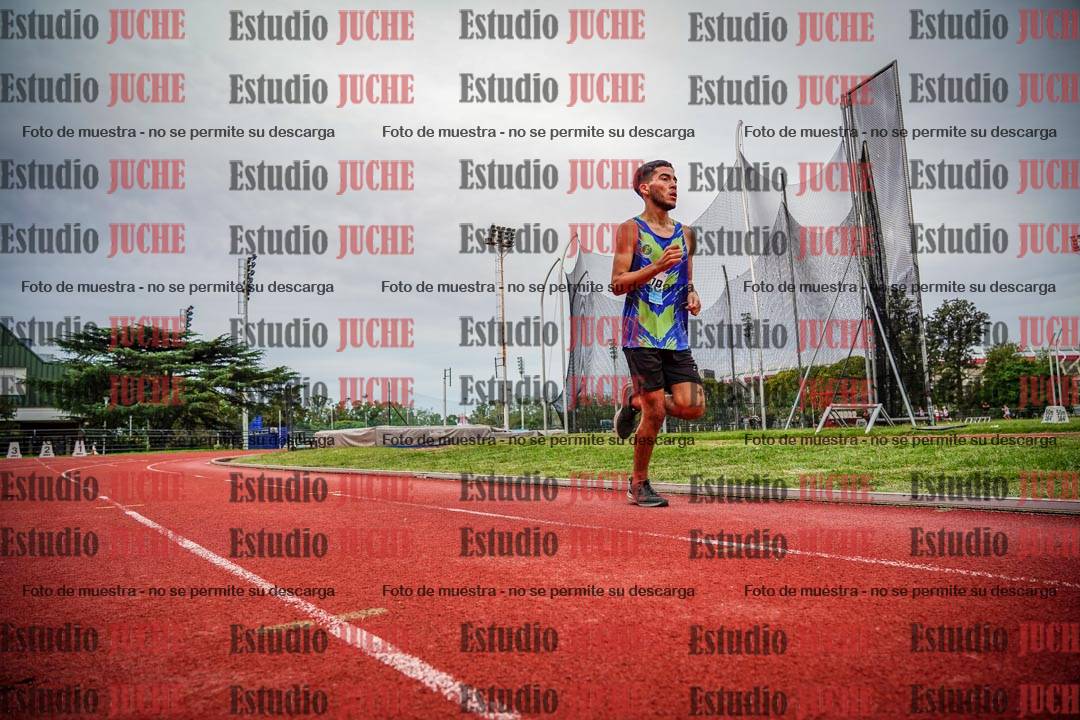 Fotos de los 3000 m llanos de varones