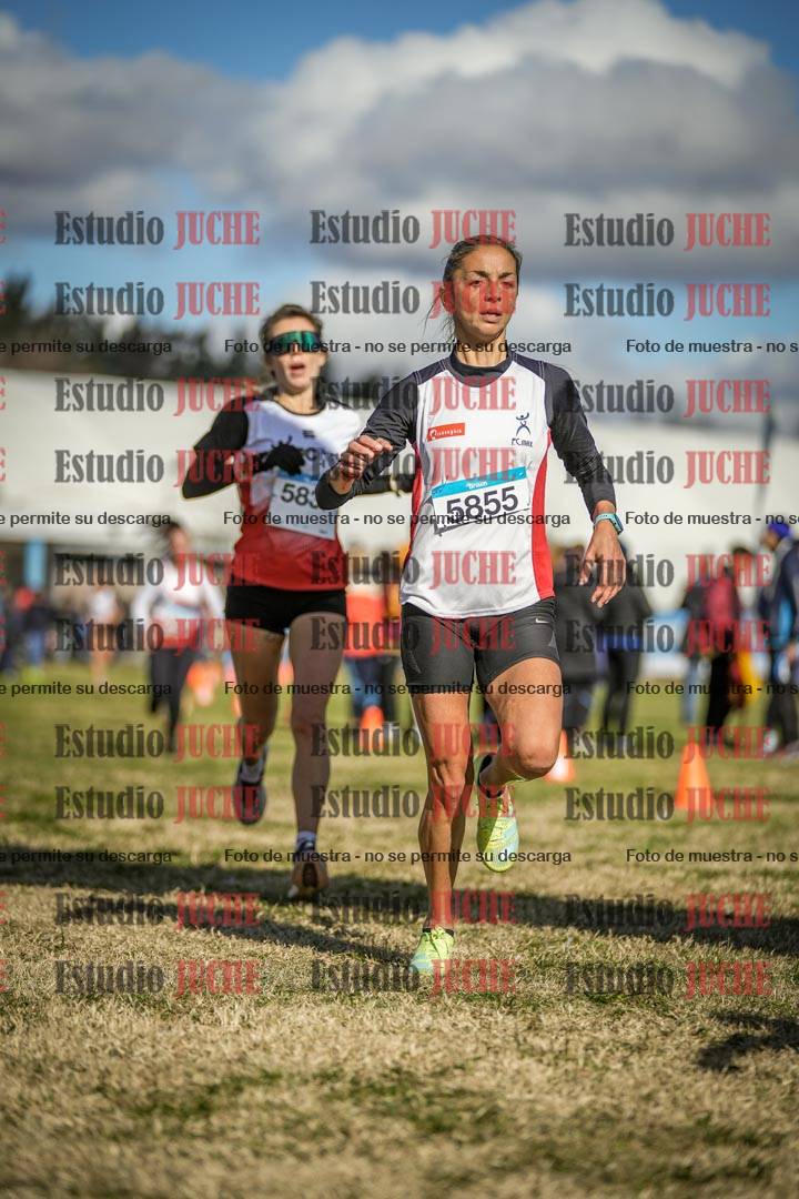 Fotos de las llegadas