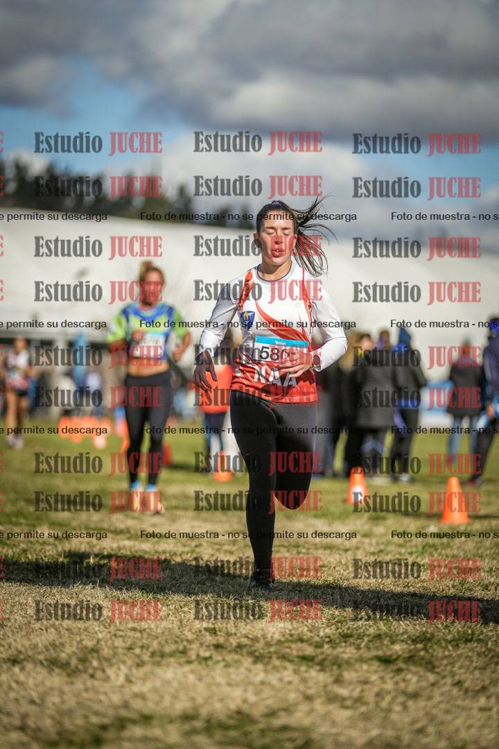 Fotos de las llegadas