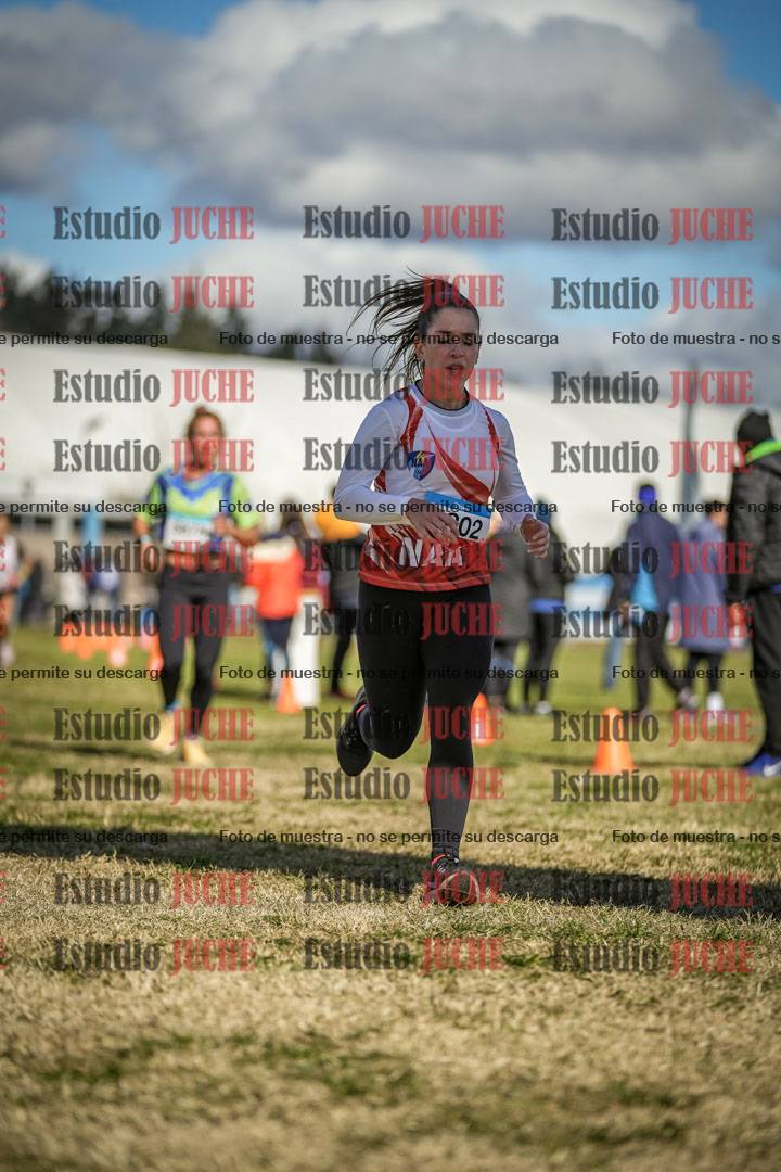 Fotos de las llegadas