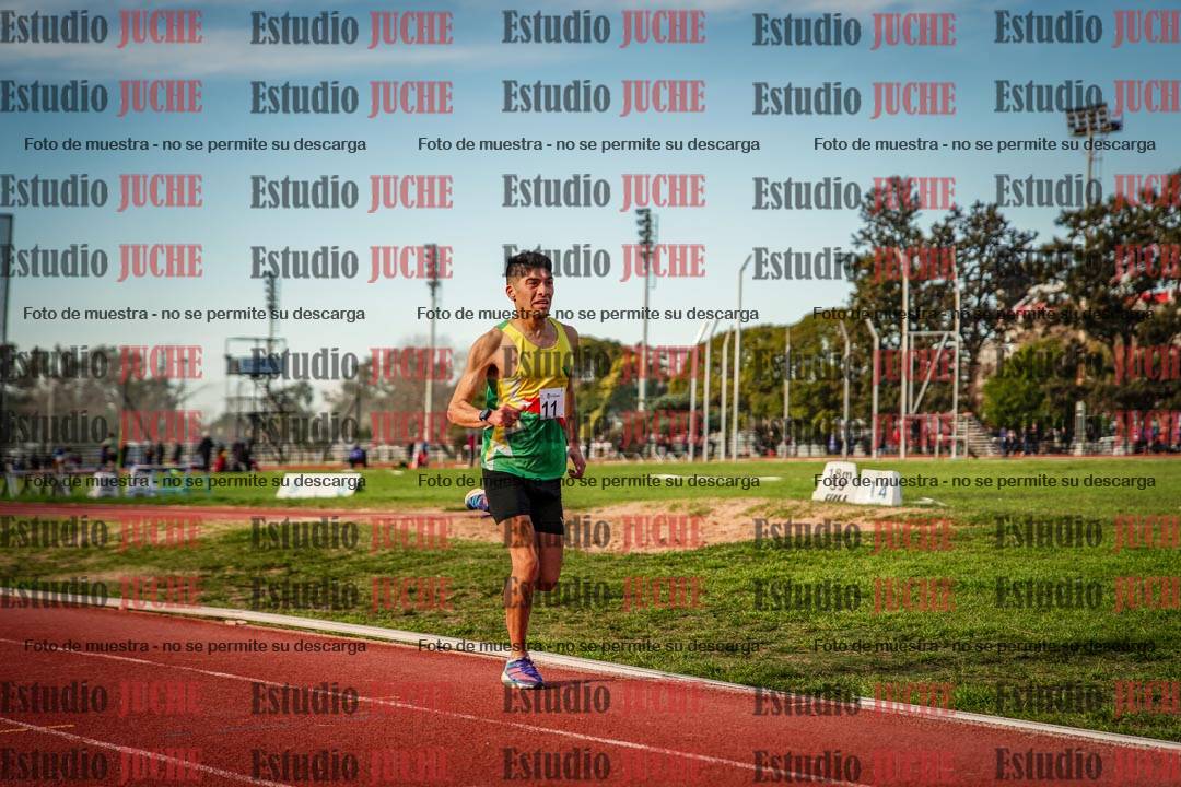 Fotos de los 3000 m llanos de varones