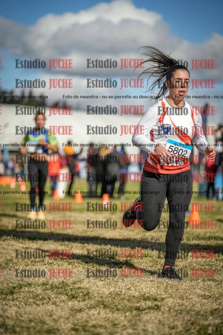 Fotos de las llegadas