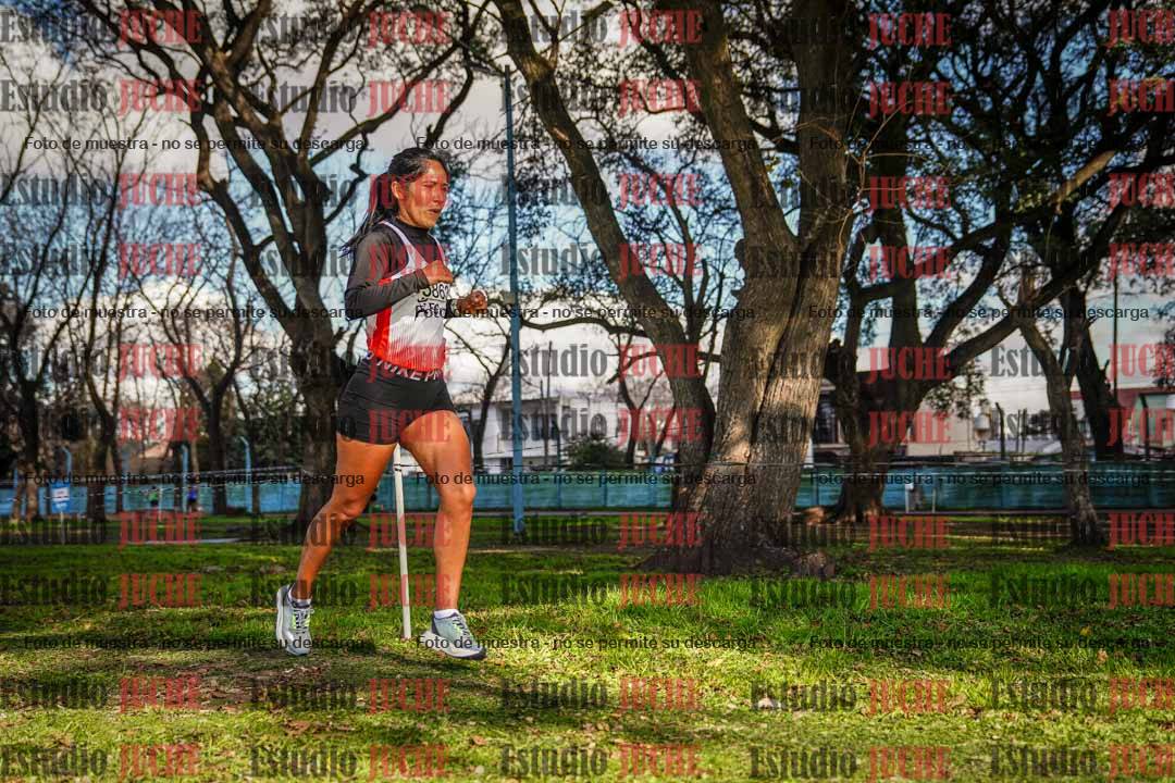Fotos en el circuito