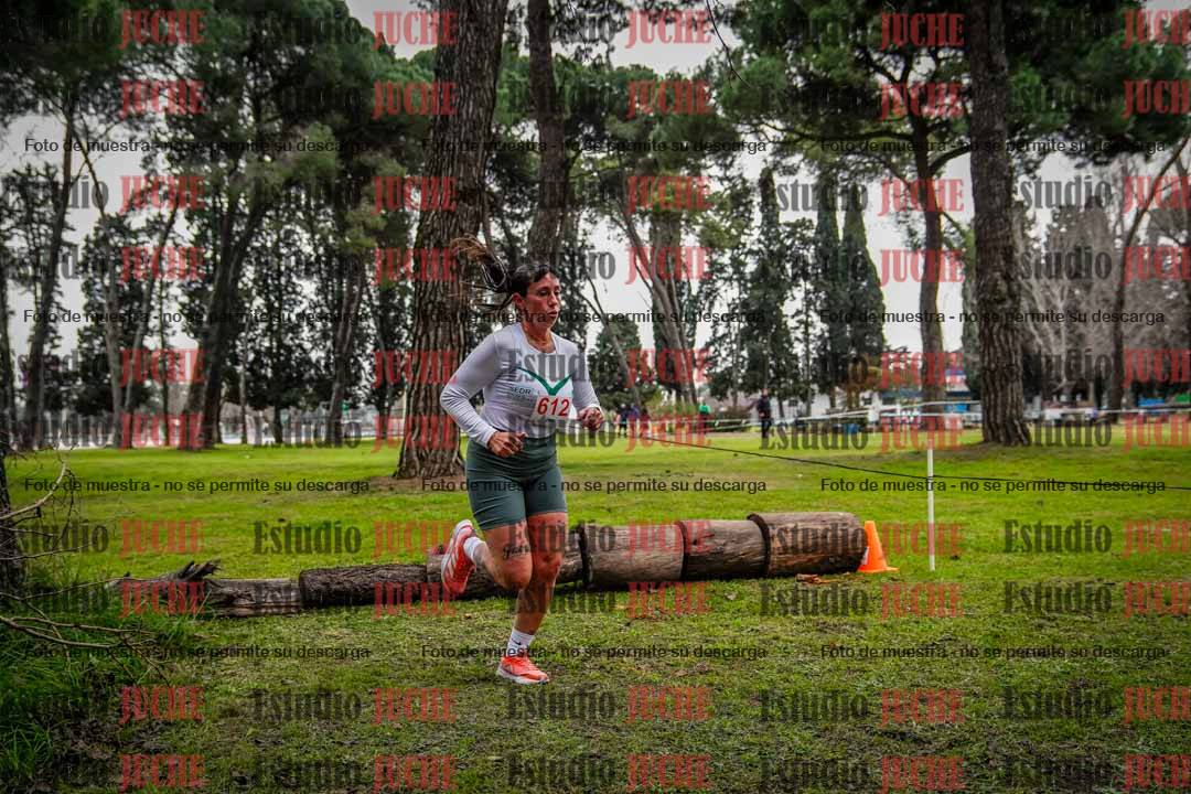 Fotos en el circuito